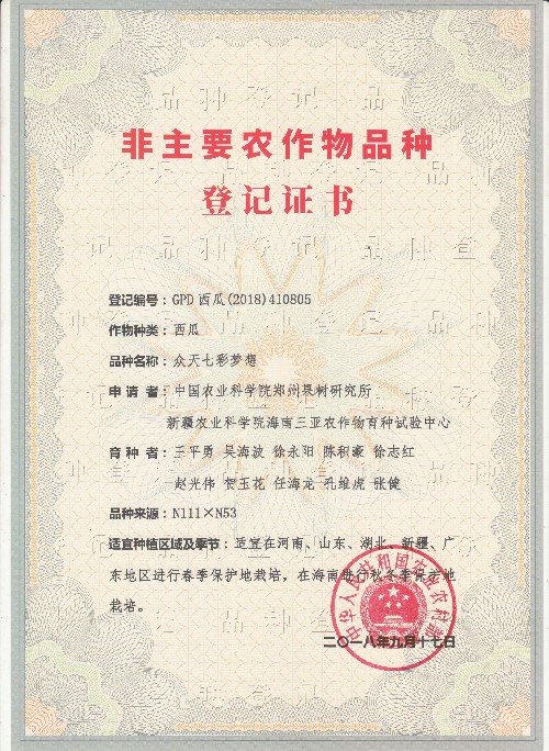 众天七彩梦想（西瓜410805）